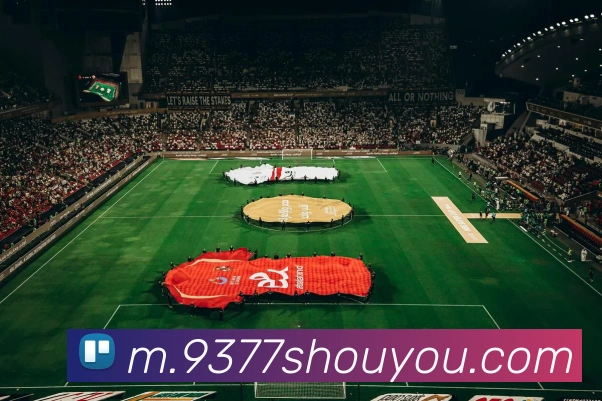 App Interface Preview