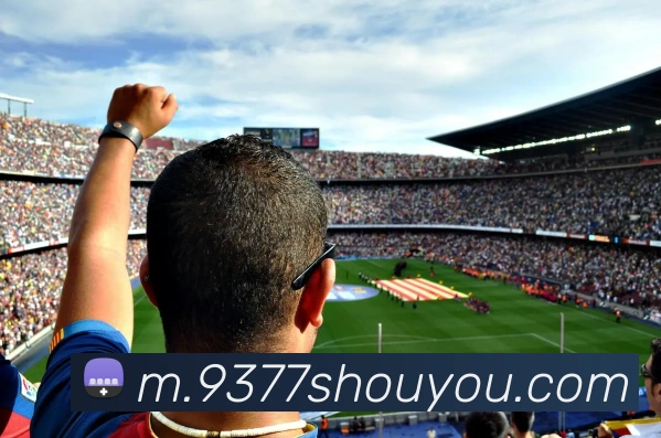 开云体育APP 封面图